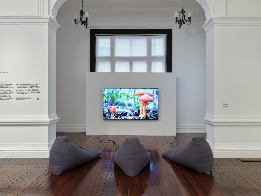 서울시립미술관 <건축의 장면>